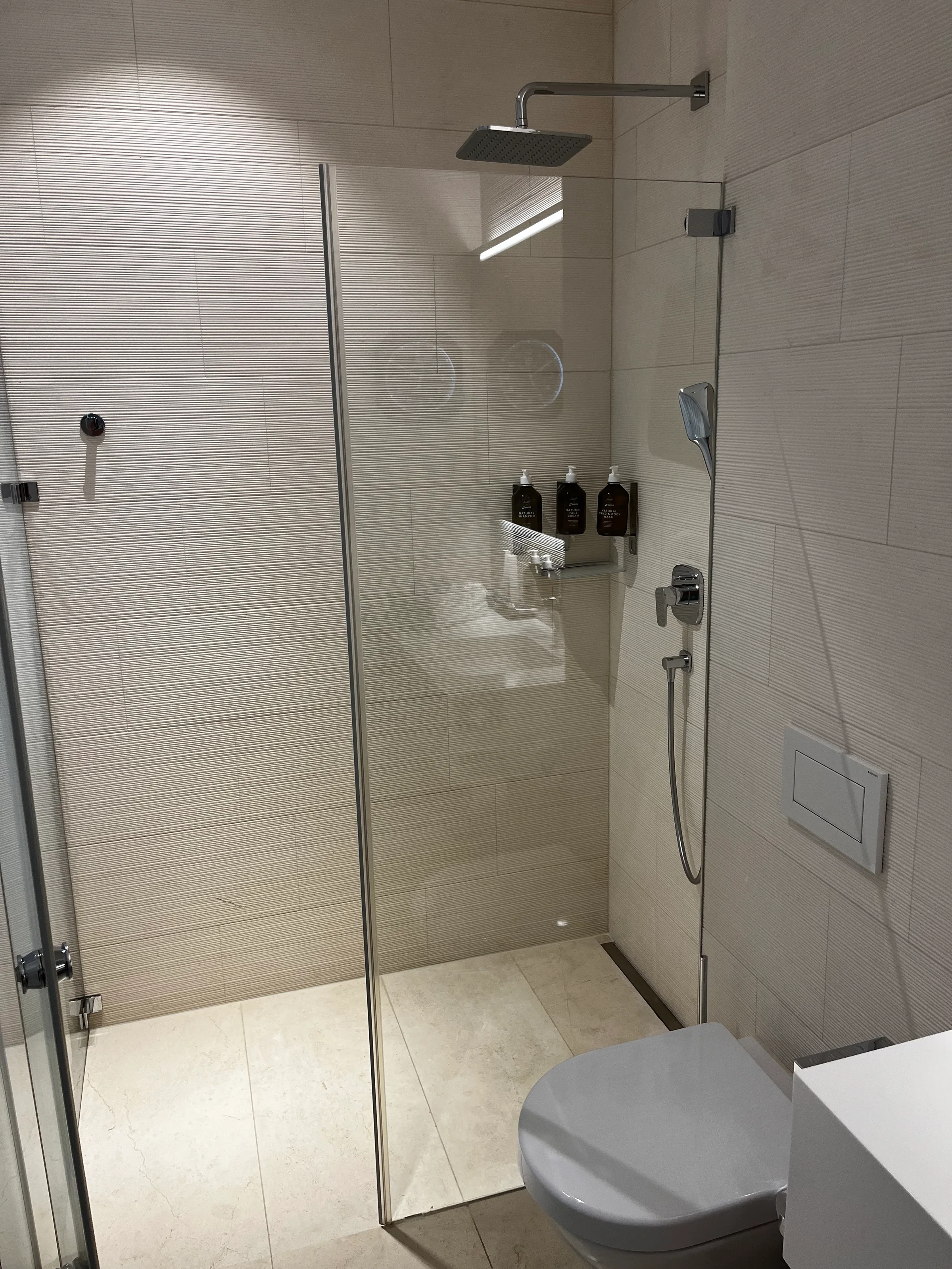 Duschbereich mit Glastür und Regendusche