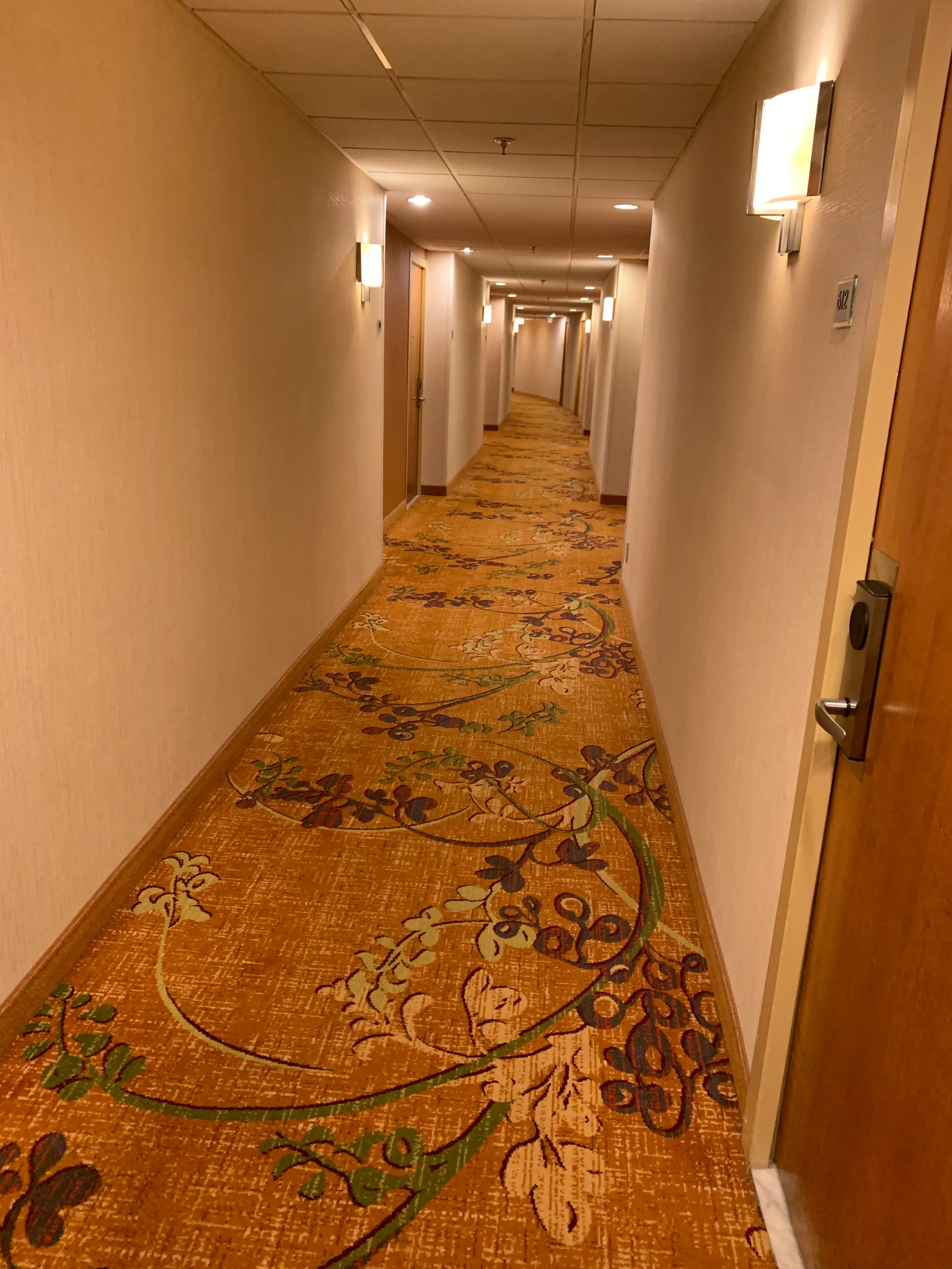 Lange Hotelkorridor mit floraler Teppichgestaltung