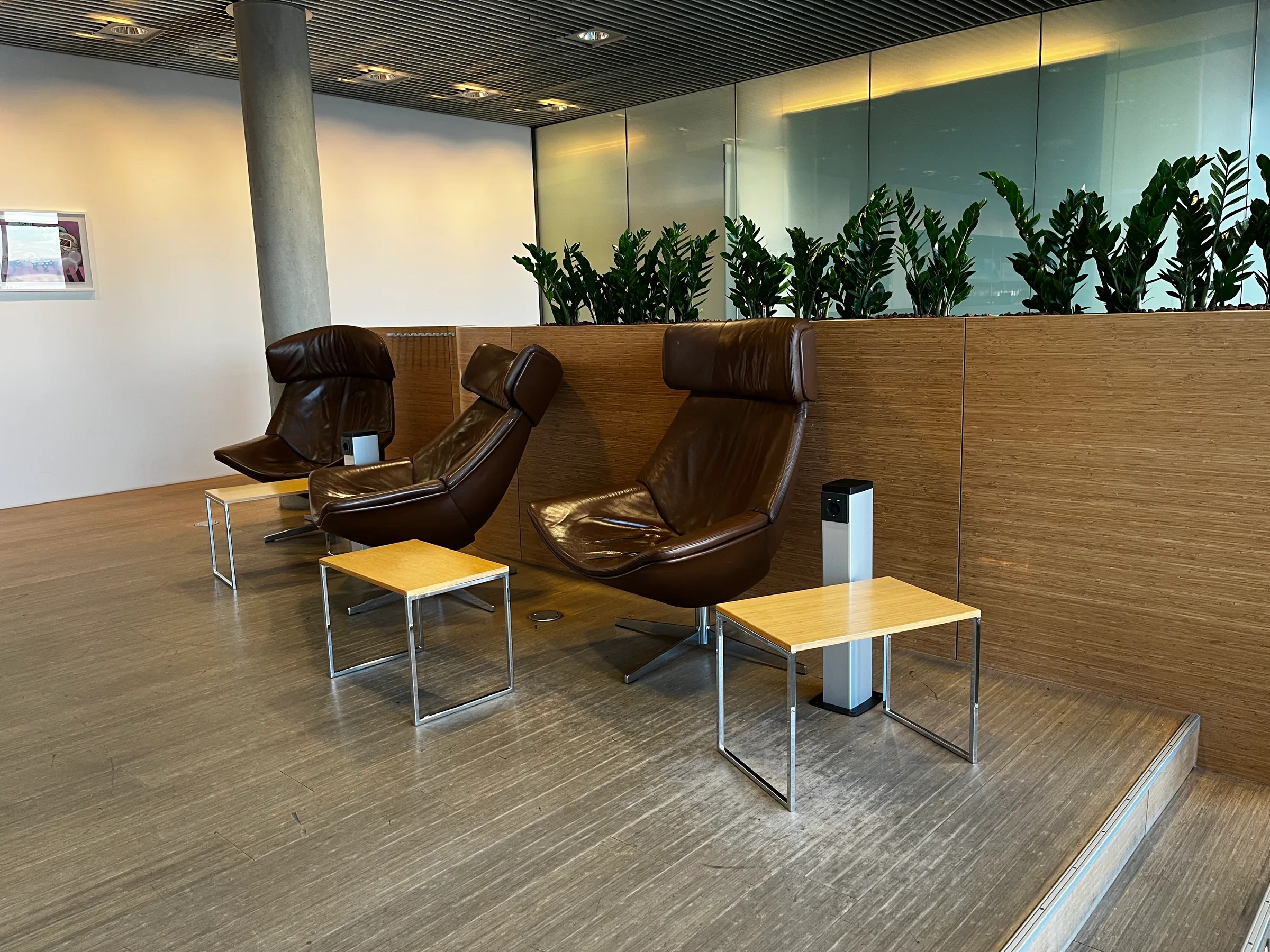 Drei Lederstühle in einem Loungesaal mit Holzboden und Pflanzen im Hintergrund