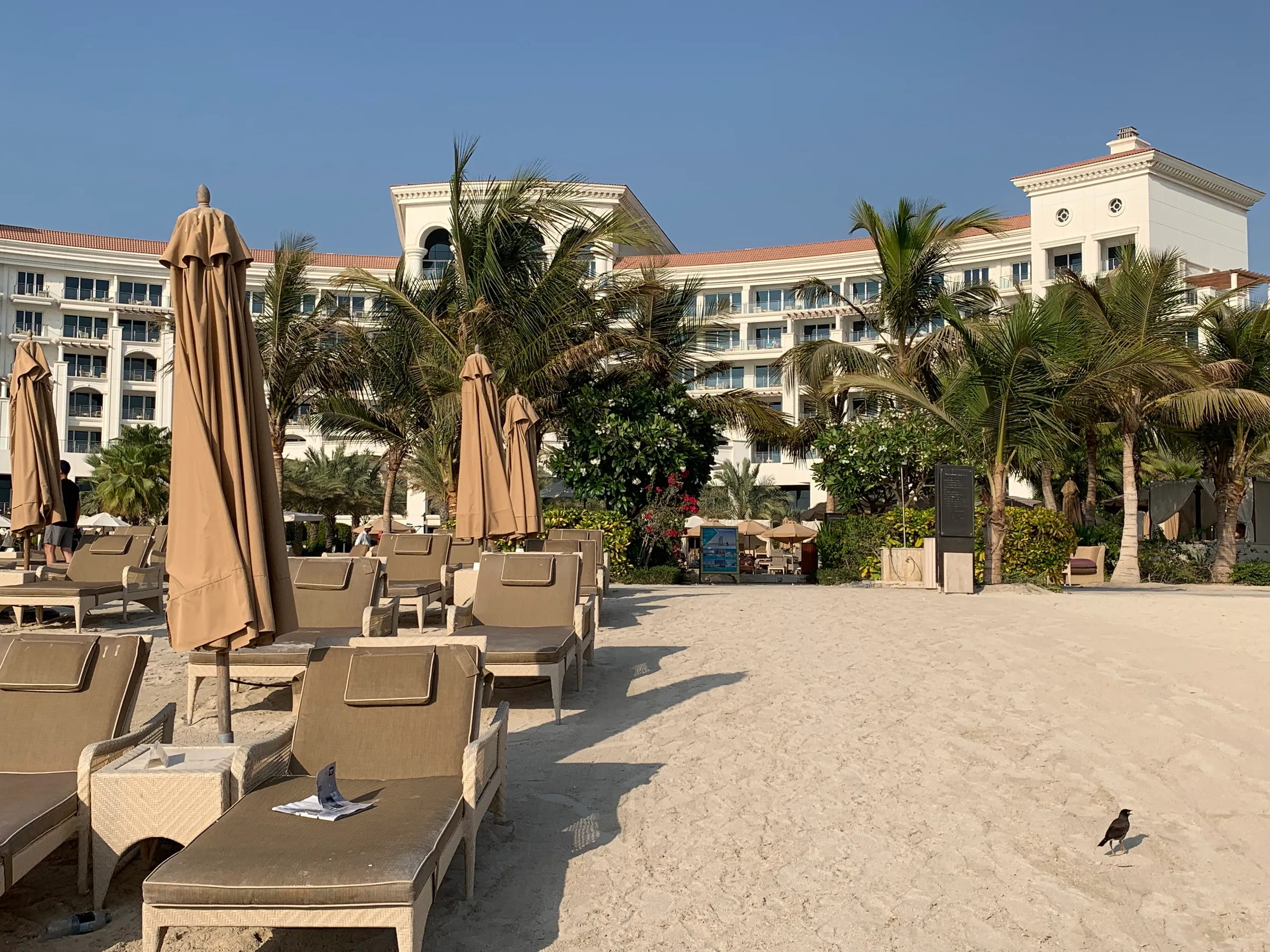 Strandliegen mit Sonnenschirmen vor dem Waldorf Astoria Dubai Palm Jumeirah Hotel