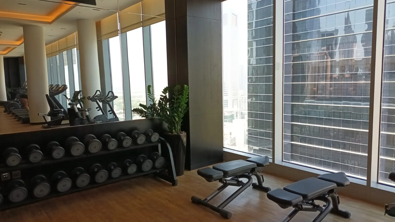 Grosses Gym mit Geräten und Pflanzen